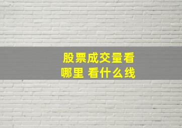 股票成交量看哪里 看什么线